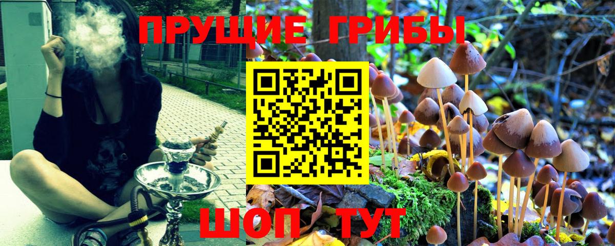 Псилоцибиновые грибы прущие грибы  Вход с VPN  Псилоцибиновые грибы мицелий  Бор 