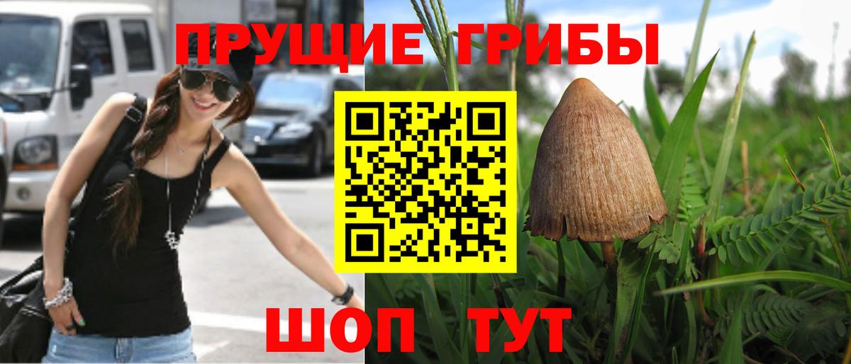 Галлюциногенные грибы GOLDEN TEACHER Бор